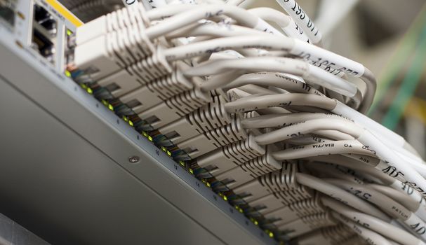 Ethernet cables connected to a network switch