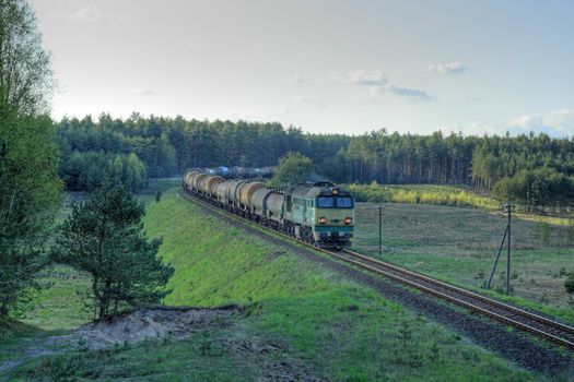Freight train hauled by the diesel locomotive passing the forest

