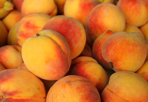 Close up of fresh picked peaches

