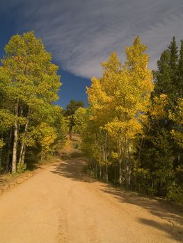 Fall begins on a road outside Allenspark, Colorado