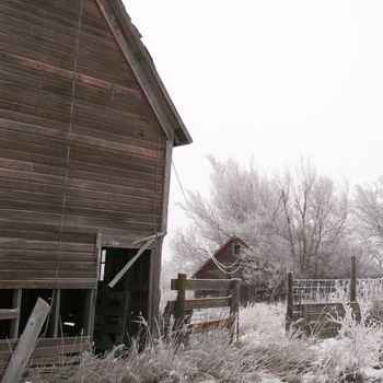 Rustic barns and farmyard on a foggy and frosty South Dakota Morning