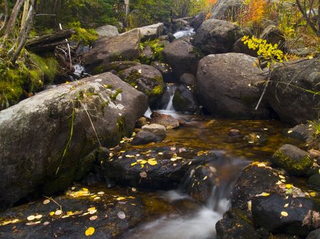 Mill Creek Basin Trail - Rocky Mountain National Park
