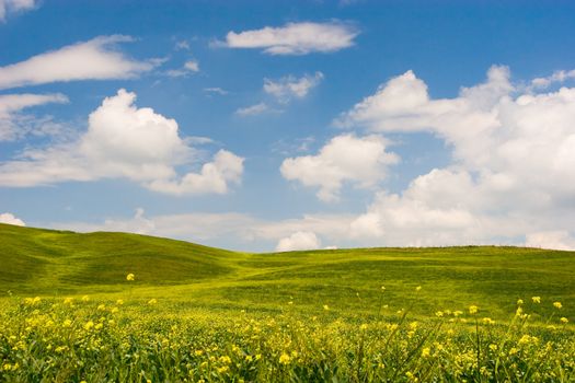 Beautiful spring flowered landscape in Tuscany, Italy.