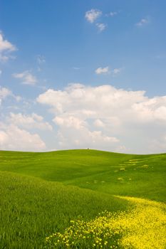 Beautiful spring flowered landscape in Tuscany, Italy.