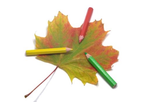 three pencils on multi colored maple leaf