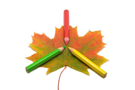 three pencils on multi colored maple leaf