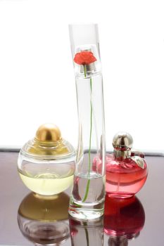 three bottles of perfume on mirror table