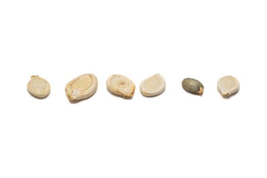 five crude pumpkin seeds and one peel between them, isolated on white