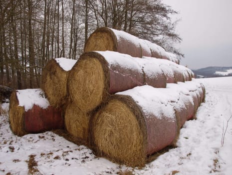 a bale of hay in winter, this is reserve till the spring is starting