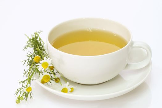 Herbal camomile tea on bright background