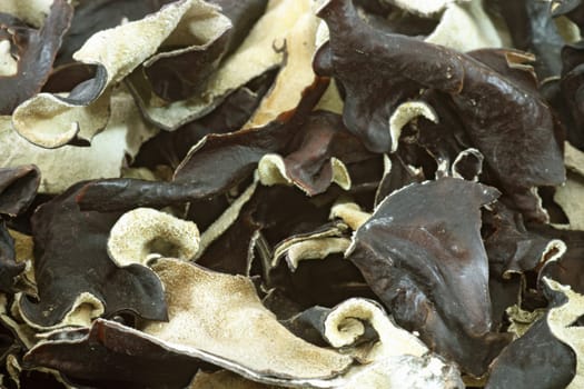 Dried asia mushrooms in Detail. Shot in studio.