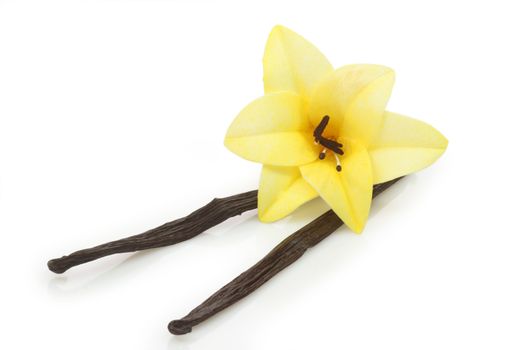 Well dried vanilla beans on white background