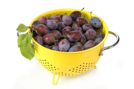 Fresh plums in a bowl. Shot in studio.