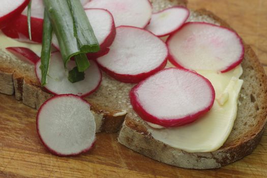 Fresh radish bread with spring leek as background