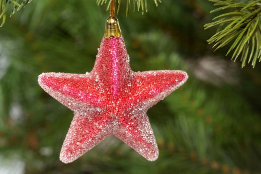 Decorative chrismas star on green background