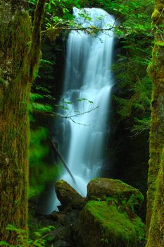 A magical set created by framing the waterfall slightly out-of-focus between the sharply focussed tree trunks.