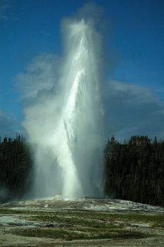 Erupting Old faithful geyser at Yellowstone national park