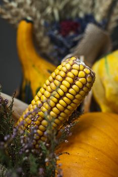 Corn, pumpkin and other autumn vegetables in basket