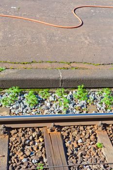 Contrasting straight steel railway track and snaking rubber garden hose on station's platform.