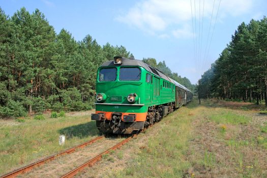 Passenger train passing through the forest
