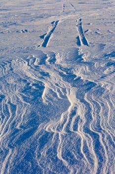 Snowdrift over vehicle tire tracks in deep snow.