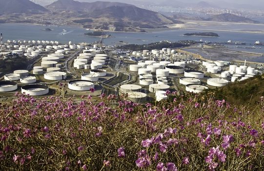 A large chemical manufacturing plant near the ocean and nature