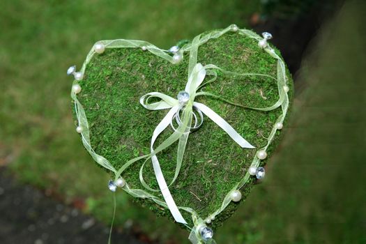 wedding rings on a pillow