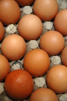 egg that contain a good nutrition for body