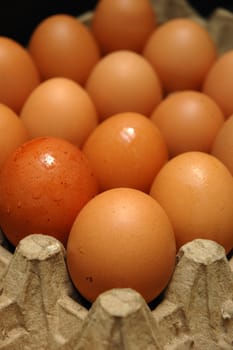 egg that contain a good nutrition for body