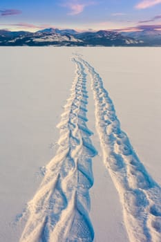 Snowshoe prints forming a trail in untouched powder sow surface coming from far away.