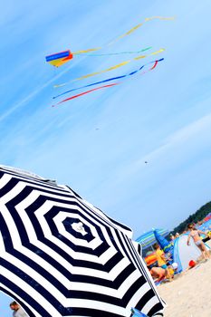 Umbrella and flying kite on the beach
