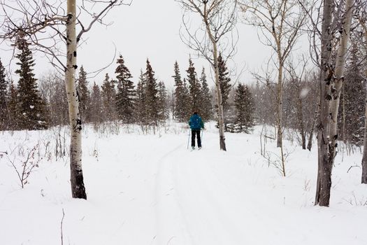 Cross-country skiing person active outdoors while snow falls.