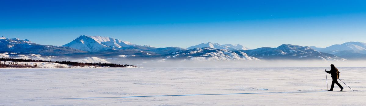 Person skiing on cross-country skis casts long shadow on untouched powder snow.