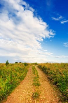 Straight road across meadow in the village