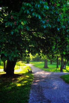 walkway shaded in the park in the morning