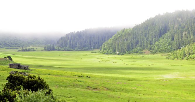 A lonely Shack in a valley in southwest China, yunnan provence