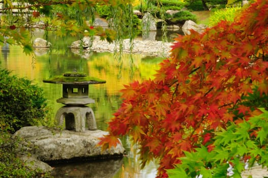 Beautiful Japanese garden in Autumn glory