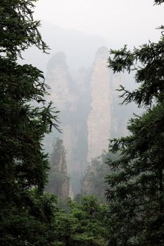 The scenery of the first China national forest park - Zhangjiajie, A world nature heritage site