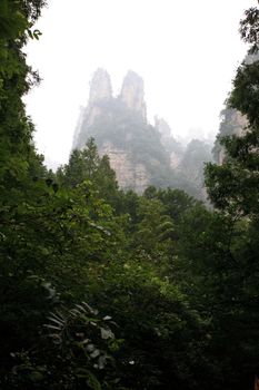 The scenery of the first China national forest park - Zhangjiajie, A world nature heritage site