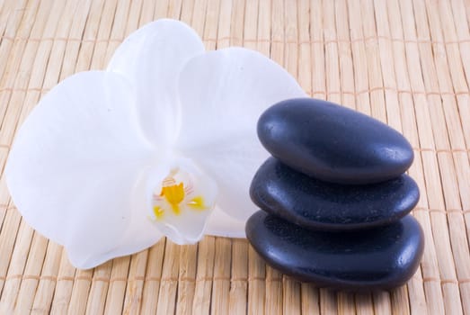 Black zen stones and a white orchid on a bamboo background.