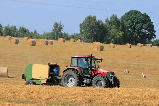 Landscape with tractor, straw bales and storks
