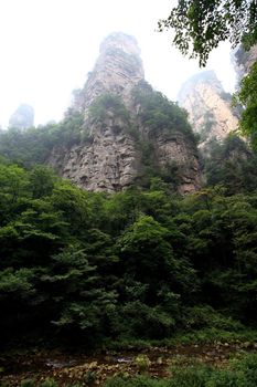 The scenery of the first China national forest park - Zhangjiajie, A world nature heritage site