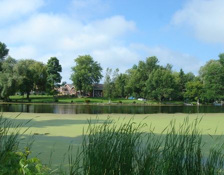 Pond with green vegetation and house by beautiful weather