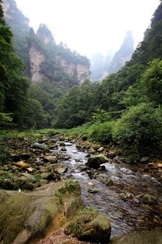 The scenery of the first China national forest park - Zhangjiajie, A world nature heritage site