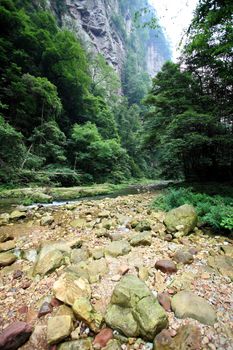 The scenery of the first China national forest park - Zhangjiajie, A world nature heritage site