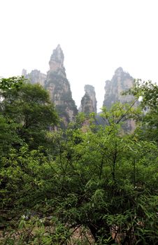 The scenery of the first China national forest park - Zhangjiajie, A world nature heritage site