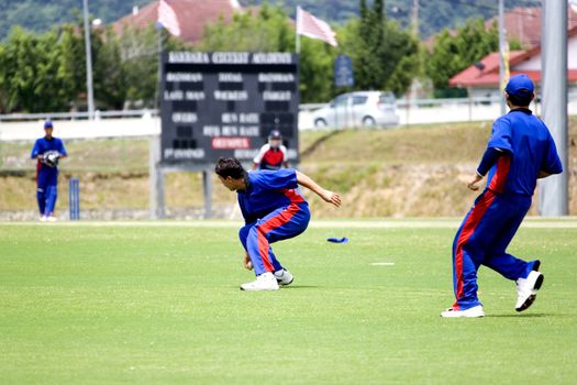 Cricket game fielder in action.