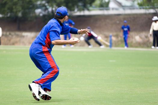 Cricket game fielder in action.