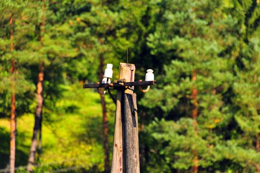 An old telephone landline pole found in south-west Germany