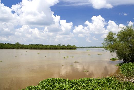 Image of a muddy river in Malaysia.